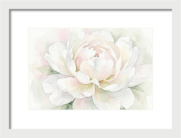 White Peony Blossom