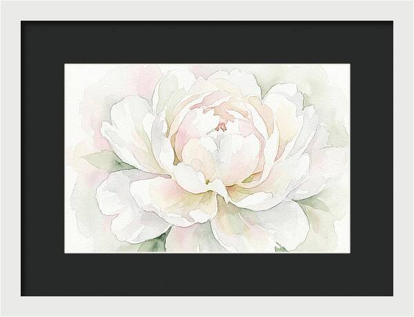 White Peony Blossom