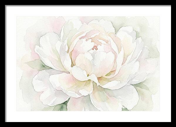 White Peony Blossom