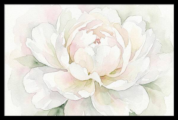White Peony Blossom