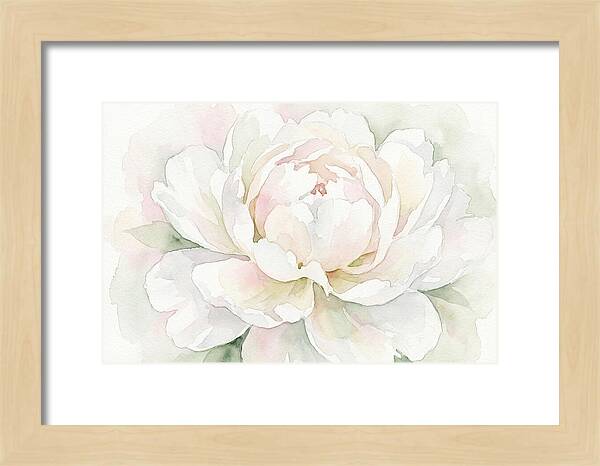 White Peony Blossom