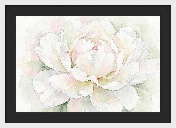 White Peony Blossom