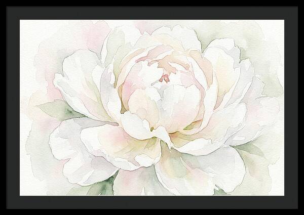White Peony Blossom