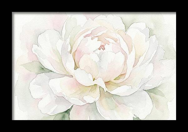 White Peony Blossom