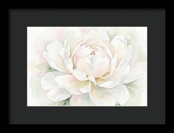 White Peony Blossom