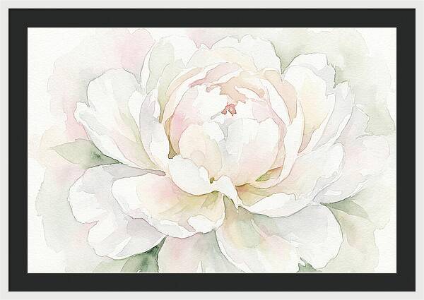 White Peony Blossom