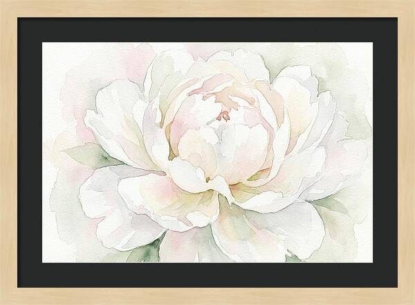 White Peony Blossom