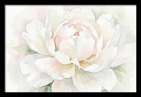 White Peony Blossom