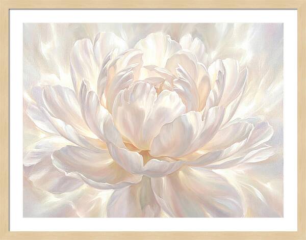White Peony