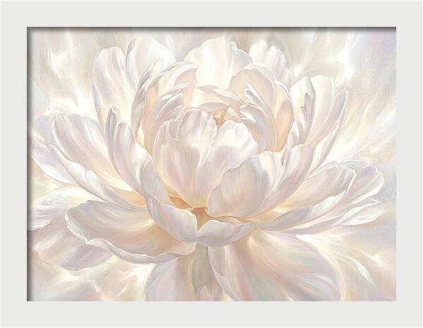 White Peony