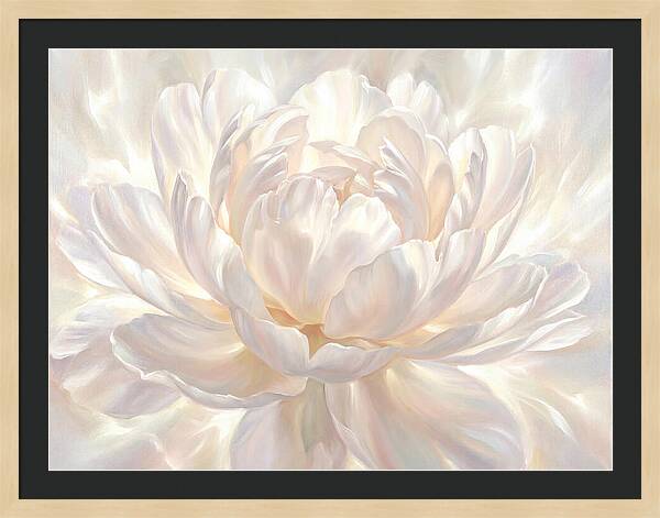 White Peony