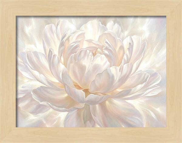 White Peony