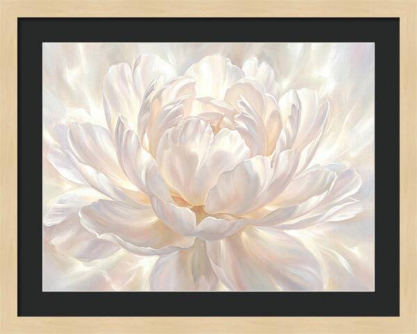 White Peony