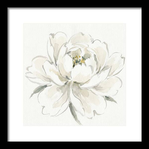 White Peony Elegance