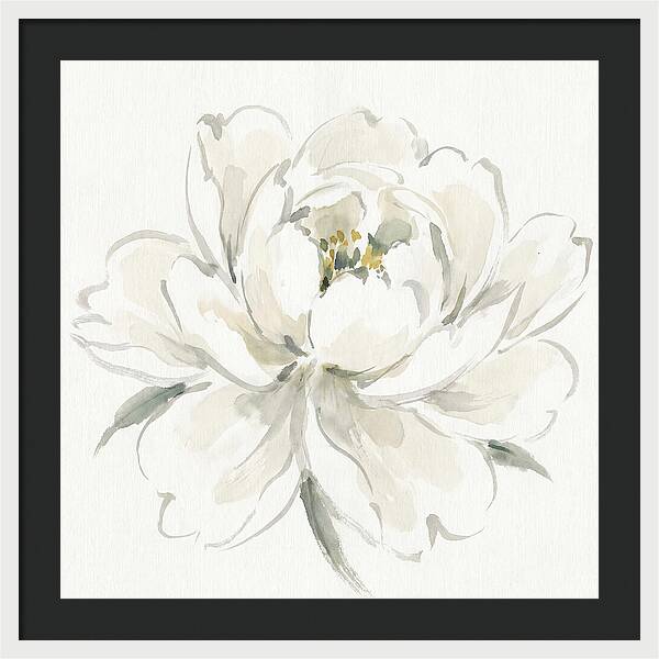 White Peony Elegance