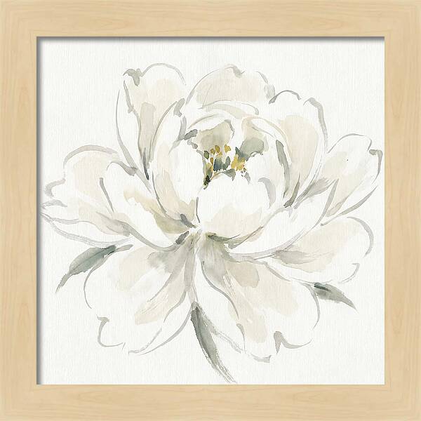 White Peony Elegance