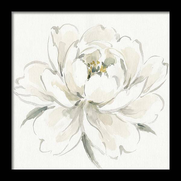 White Peony Elegance