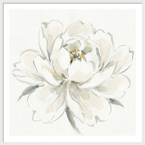 White Peony Elegance