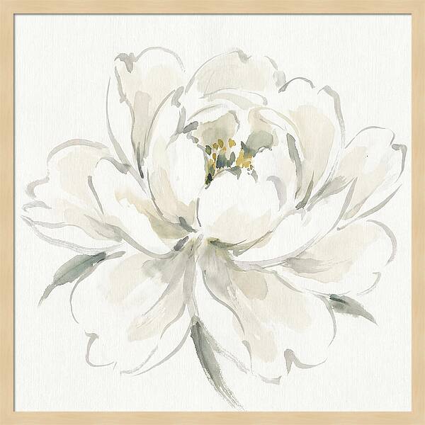 White Peony Elegance