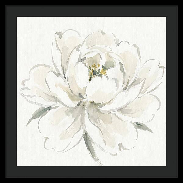White Peony Elegance