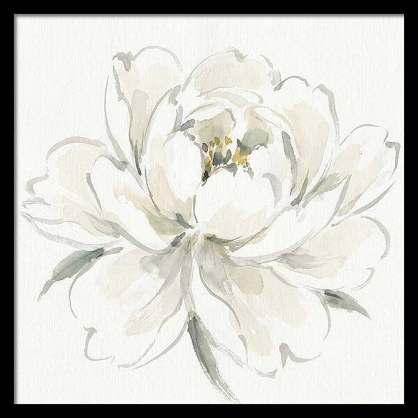 White Peony Elegance