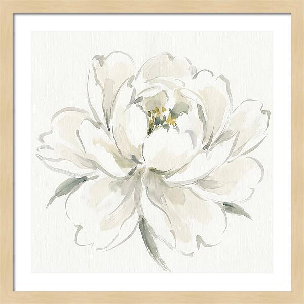 White Peony Elegance