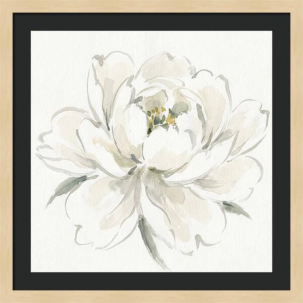 White Peony Elegance