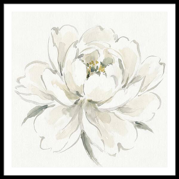 White Peony Elegance