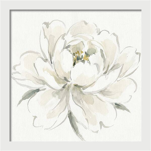 White Peony Elegance