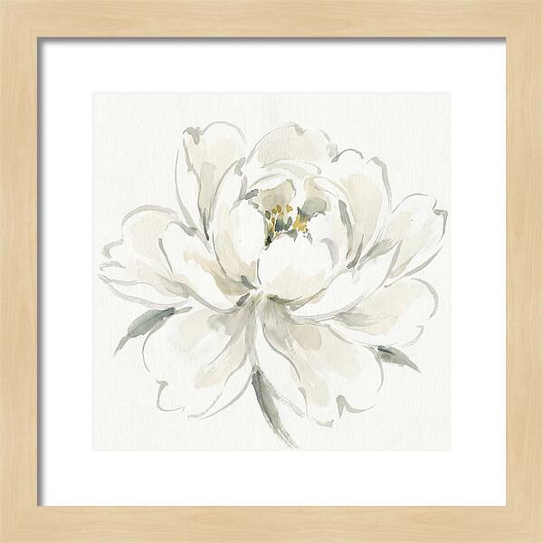 White Peony Elegance