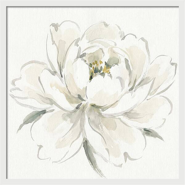 White Peony Elegance
