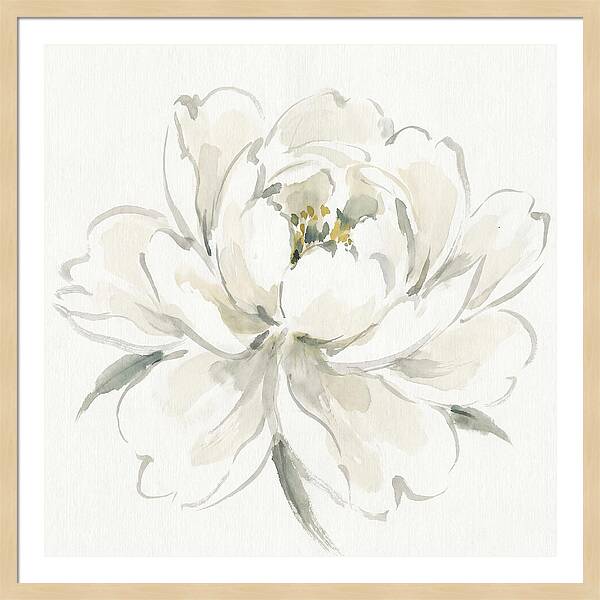 White Peony Elegance
