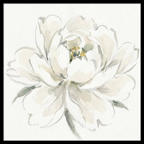White Peony Elegance