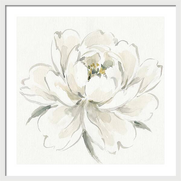 White Peony Elegance