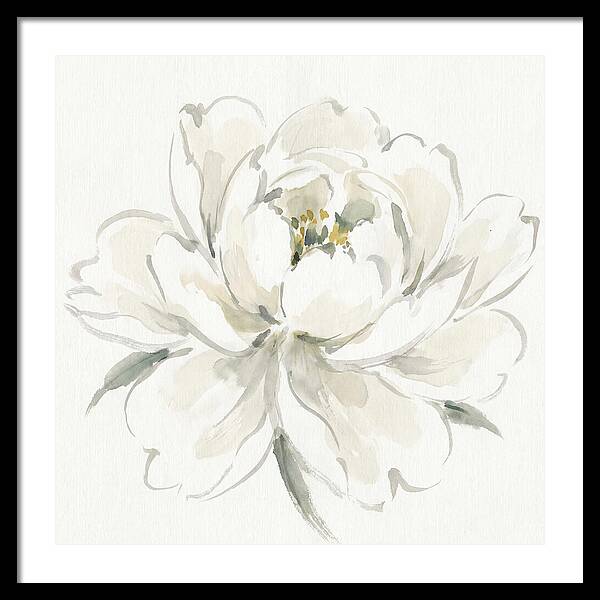White Peony Elegance