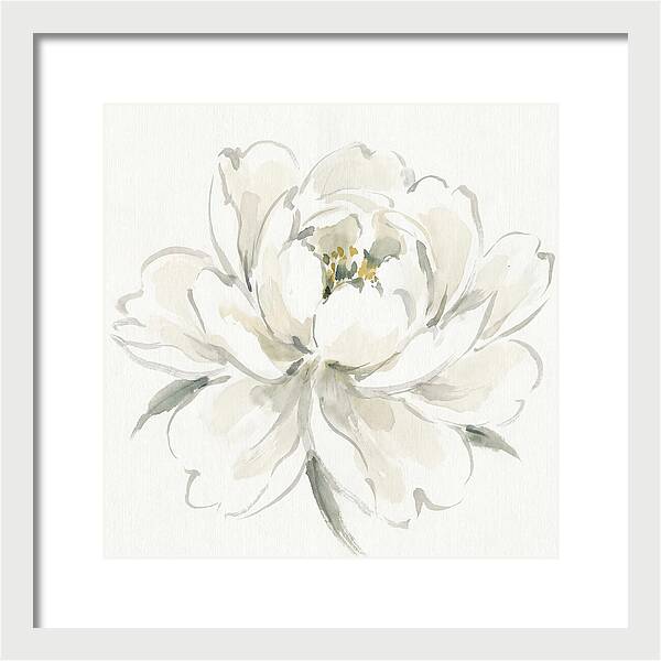 White Peony Elegance