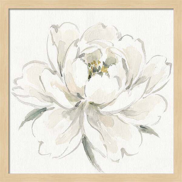 White Peony Elegance