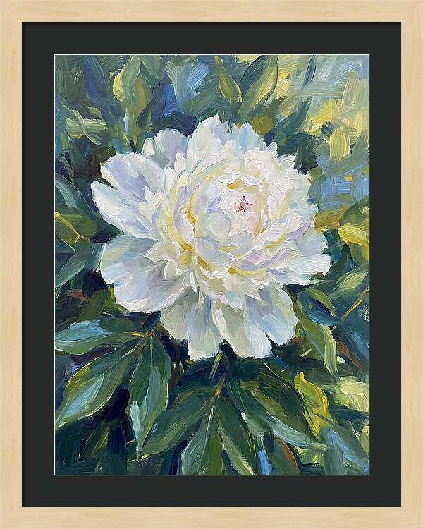 White Peony In Bloom