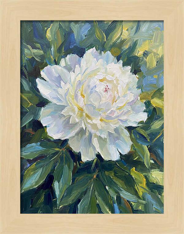 White Peony In Bloom