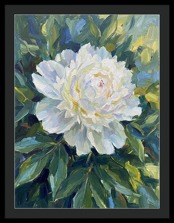 White Peony In Bloom