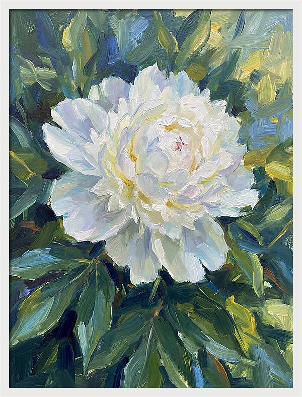 White Peony In Bloom