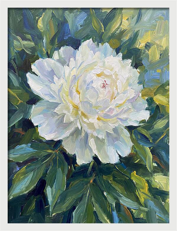 White Peony In Bloom