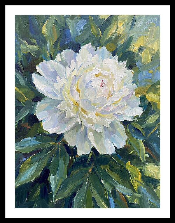 White Peony In Bloom