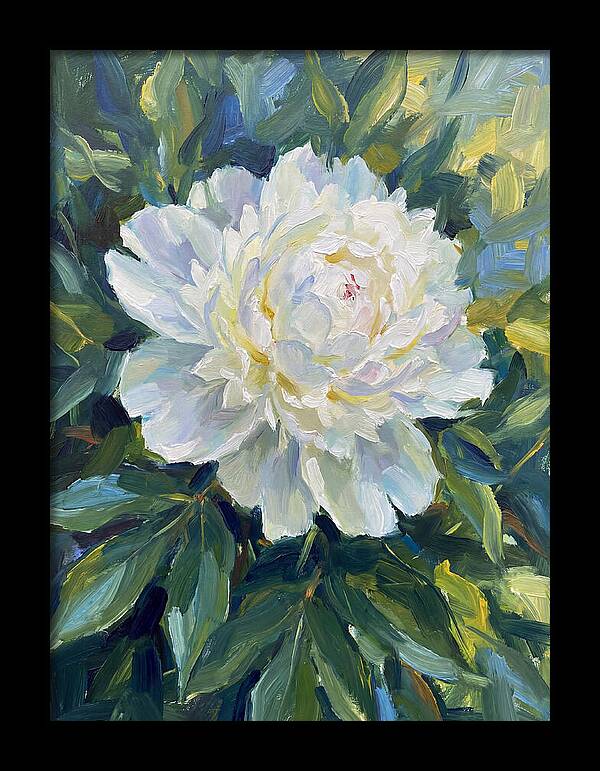 White Peony In Bloom