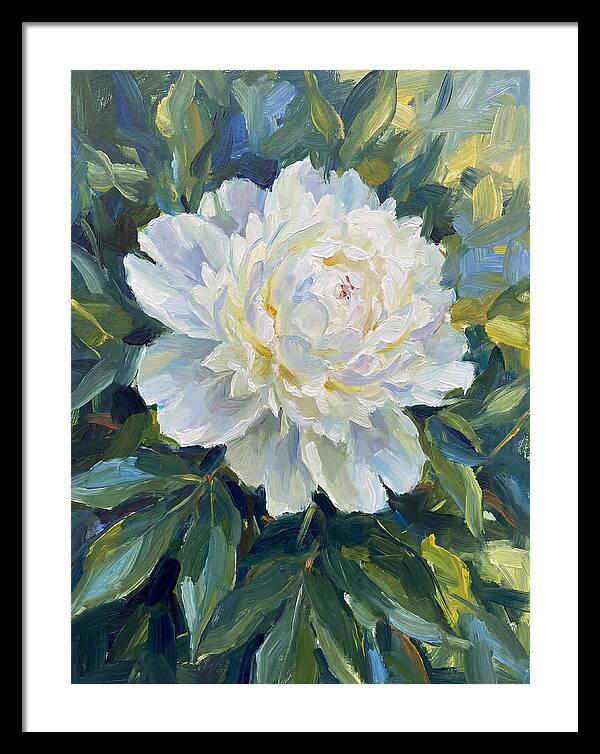 White Peony In Bloom