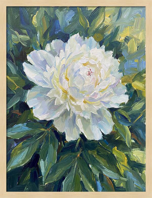 White Peony In Bloom