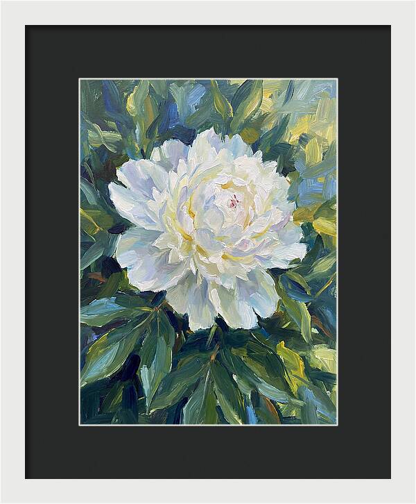 White Peony In Bloom