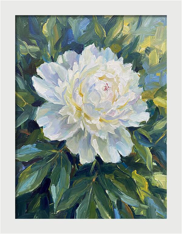 White Peony In Bloom