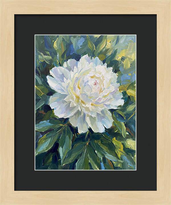 White Peony In Bloom