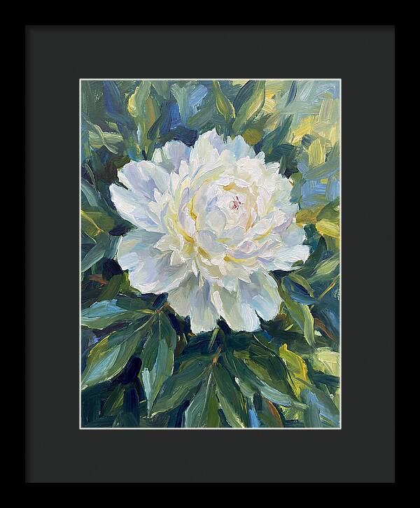 White Peony In Bloom